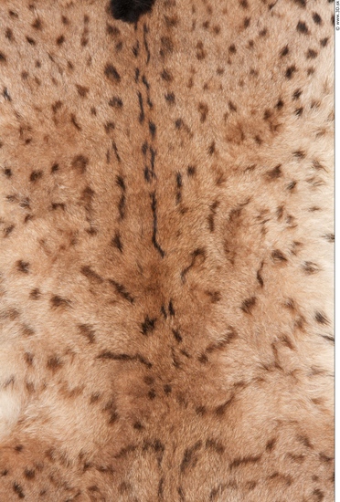 Fur