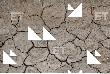 Cracked Soil