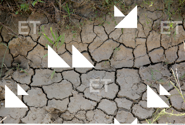 Cracked Soil