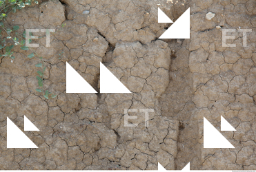 Cracked Soil