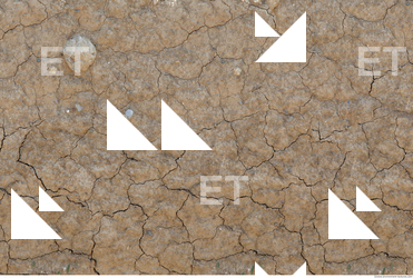Cracked Soil