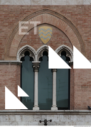 Ornate Windows