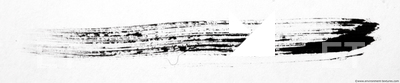brush strokes 0002