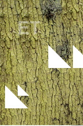 Tree Bark