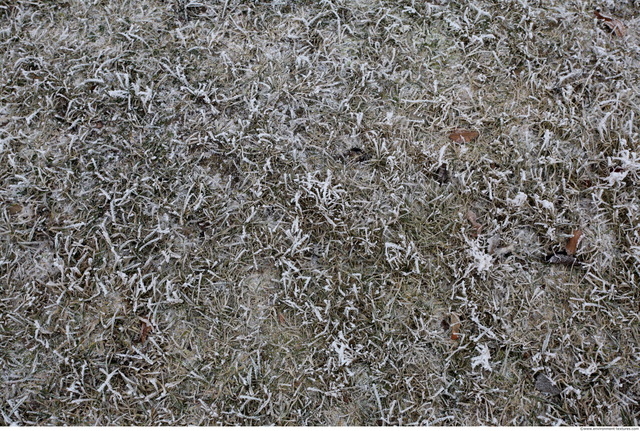 Frozen Ground