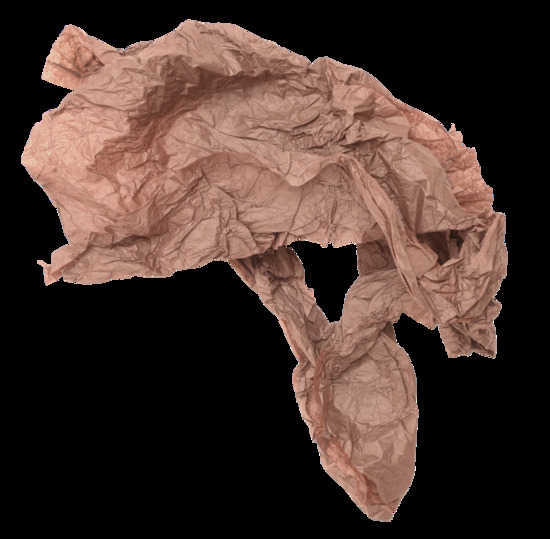 Crumpled Paper