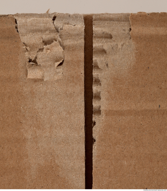 Damaged Cardboard