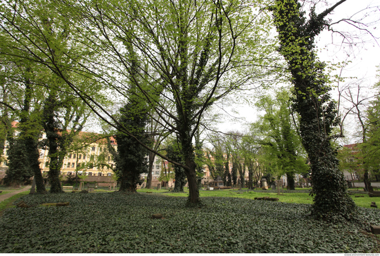 Background Gardens