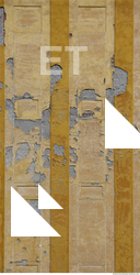 Walls Plaster Damaged