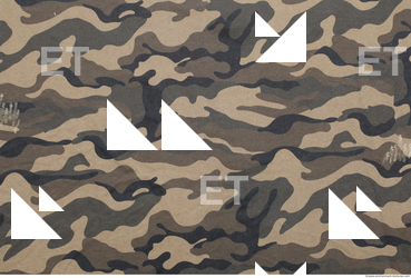 Camouflage Fabric