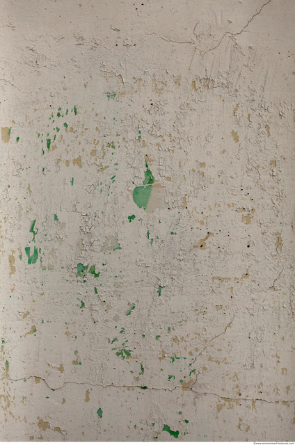 Wall Plaster Paint Peeling