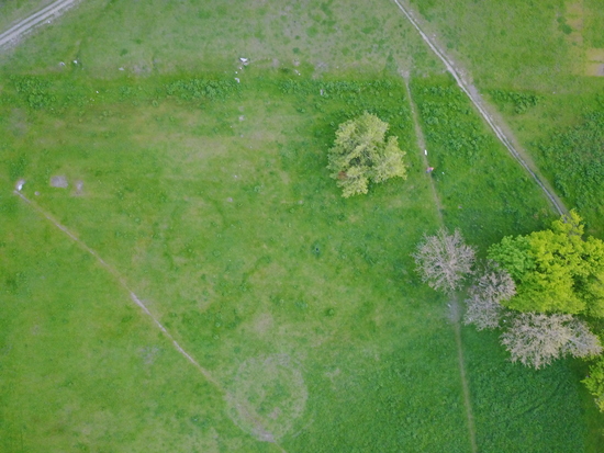 Nature from Above