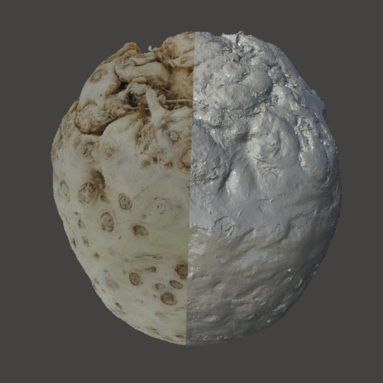 Food 3D Scan