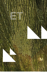Tree Bark