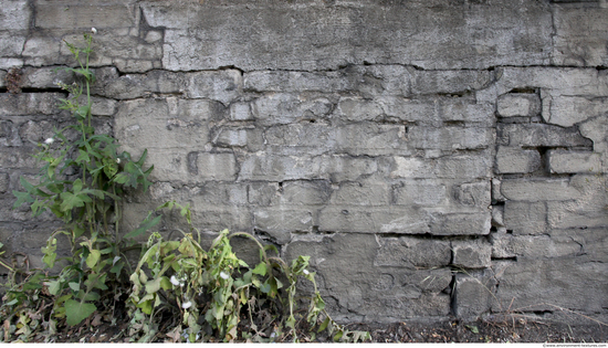 Wall Bricks Damaged