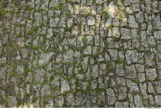 Overgrown Floors