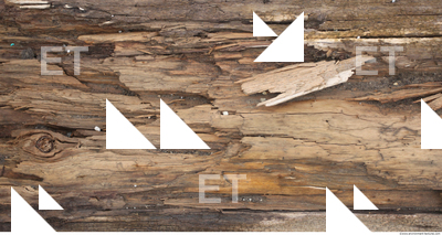 Decayed Wood