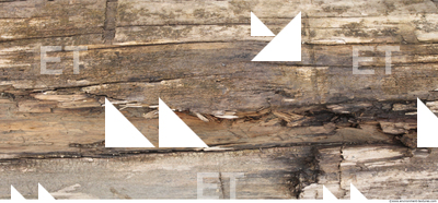 Decayed Wood