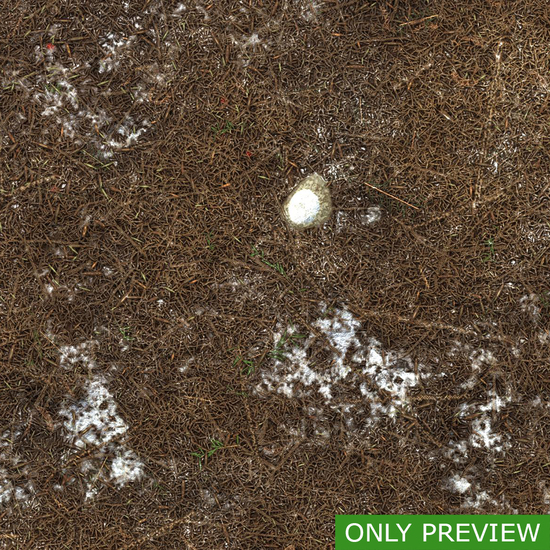 PBR substance material of forest ground snowy created in substance designer for graphic designers and game developers