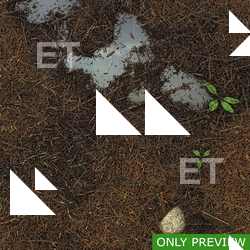 PBR substance material of forest ground wet created in substance designer for graphic designers and game developers