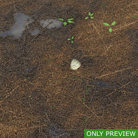 PBR substance material of forest ground wet created in substance designer for graphic designers and game developers