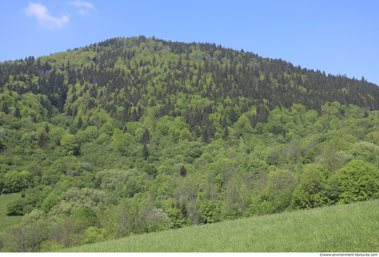 Background Forests