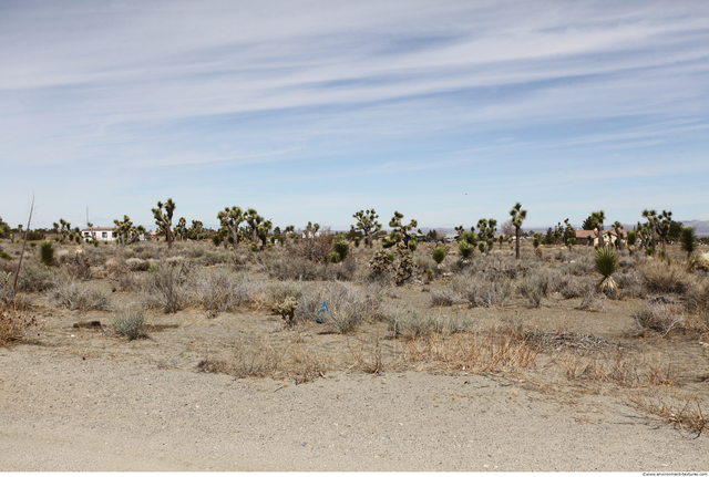 Background Deserts