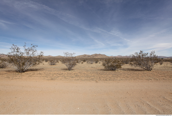 Background Deserts