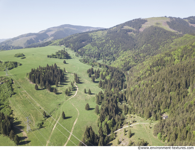 Background Forests