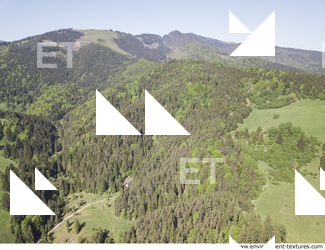 background nature forest High Tatras 0019