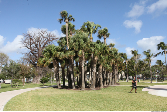 Background Gardens