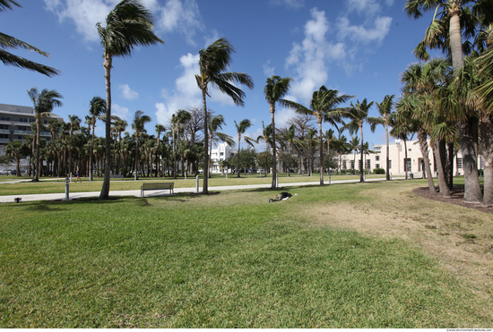 Background Gardens