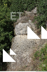 cliff rock overgrown 0006