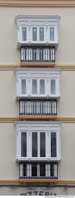 Ornate Windows