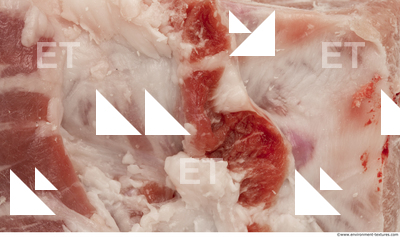 Pork Meat