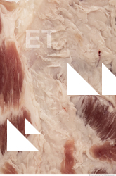 Pork Meat