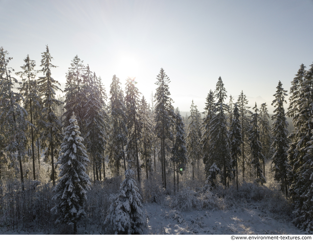 Background Forests