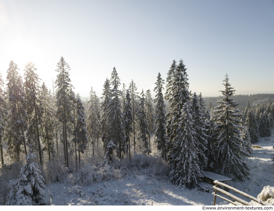 Background Forests