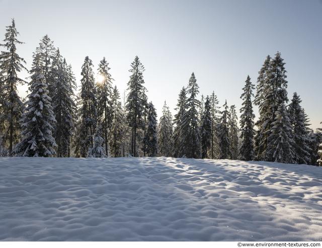 Background Forests