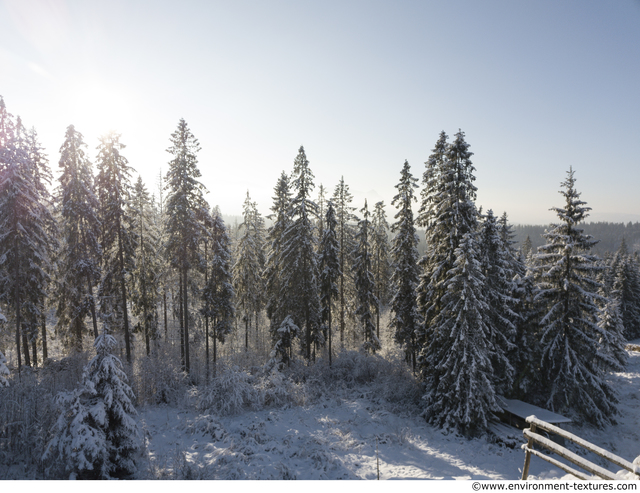 Background Forests