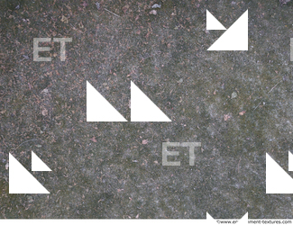 ground grass frozen 0002