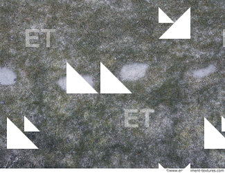 ground grass frozen 0007