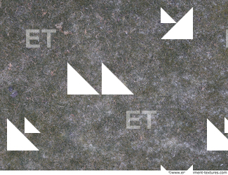 ground grass frozen 0010