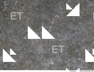 ground grass frozen 0011