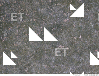 ground grass frozen 0012