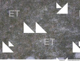 ground grass frozen 0009