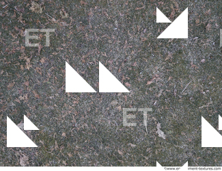 ground grass frozen 0015