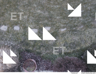 ground grass frozen 0001