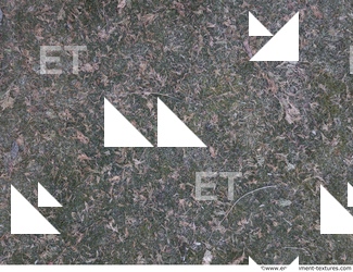 ground grass frozen 0019