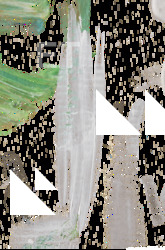 Brush & Paint Decals